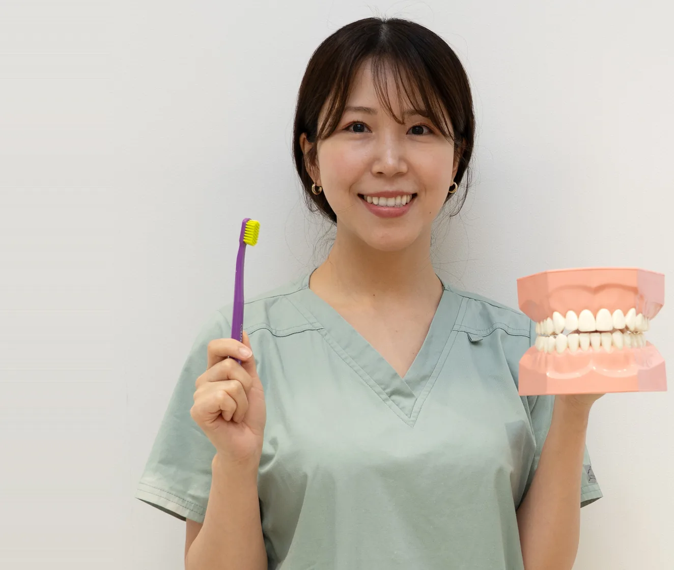 歯ブラシと歯の模型を持つ歯科衛生士
