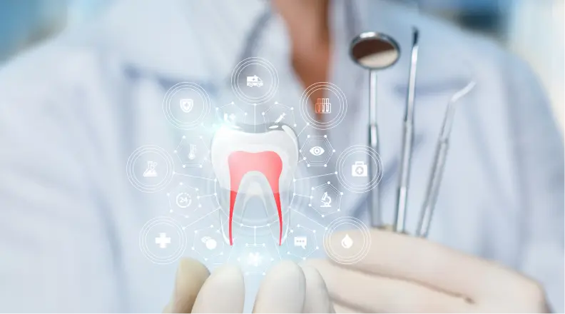 虫歯予防プログラム