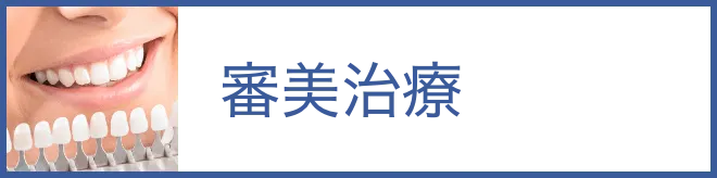 審美性の高い歯科治療